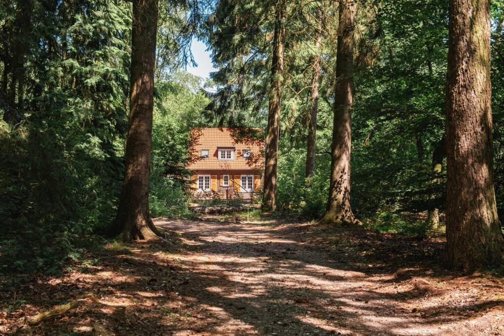 Fantastisch Familiehuis Met Grote Tuin I Bosrijk Lunteren Exteriör bild