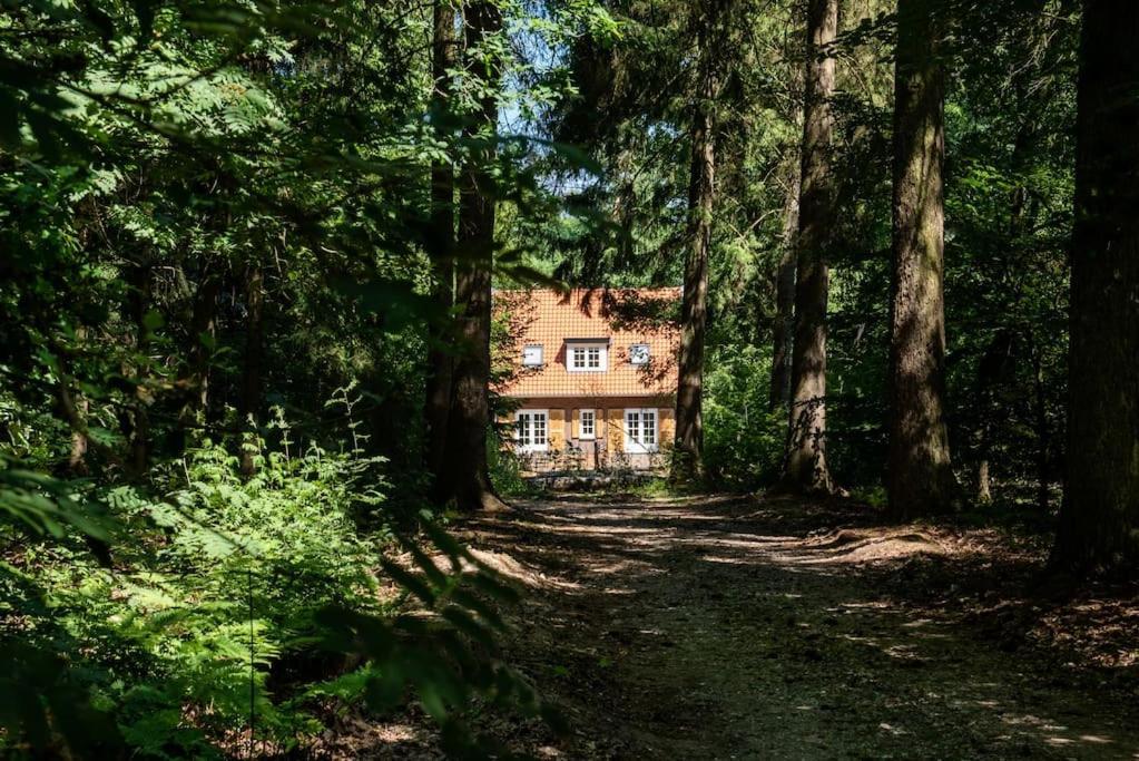 Fantastisch Familiehuis Met Grote Tuin I Bosrijk Lunteren Exteriör bild